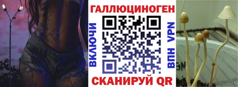 цена   Байкальск  Псилоцибиновые грибы Psilocybe 